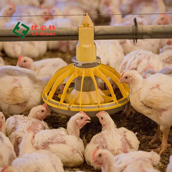 Système d'alimentation/abreuvement pour volailles, équipement d'élevage pour usine d'élevage agricole, surélévation du rez-de-chaussée pour poulet/oie/canard/cochon/mouton avec système d'éclairage
